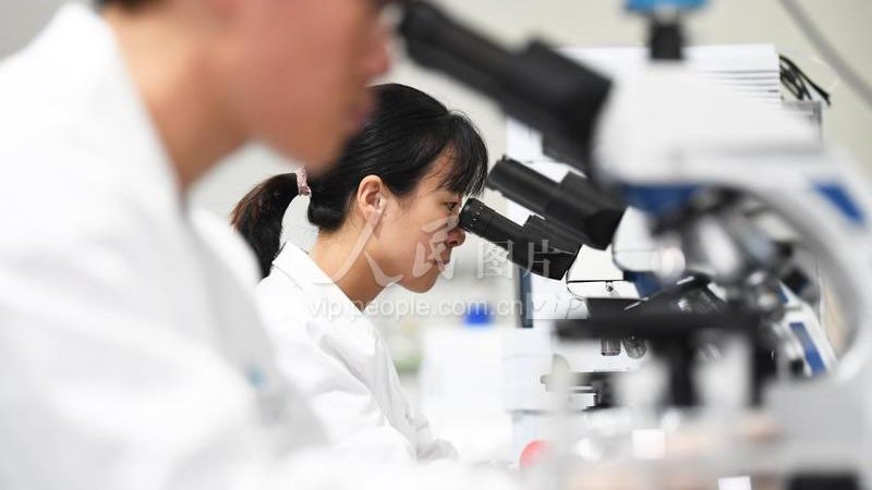 引物与探针：合成原理与差异解析**