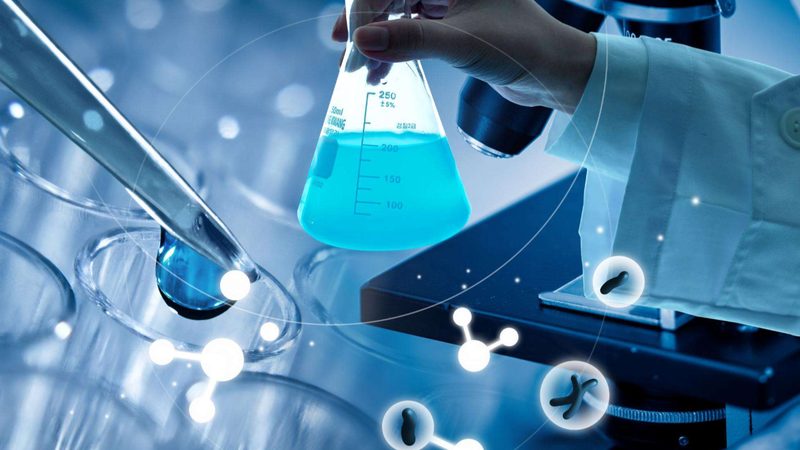 生物科技研发：揭秘从实验室到市场的关键阶段**