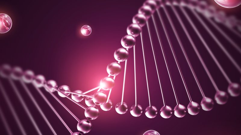 引物合成：定制纯度规格背后的科学**