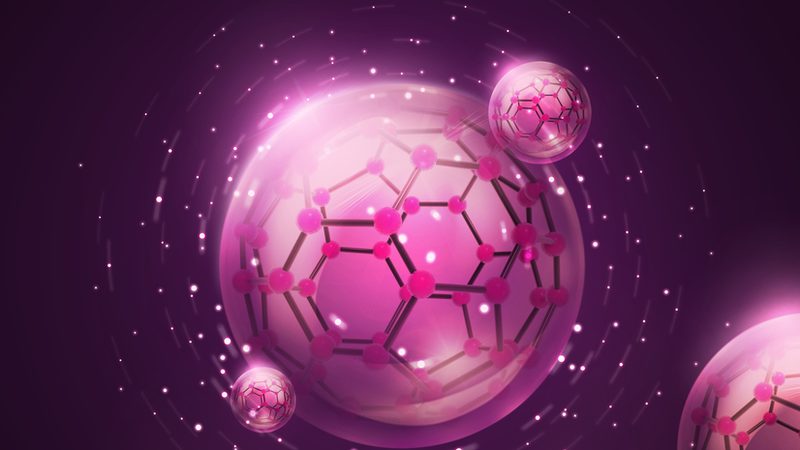 脂肪酶：揭秘其生产与选择的关键因素