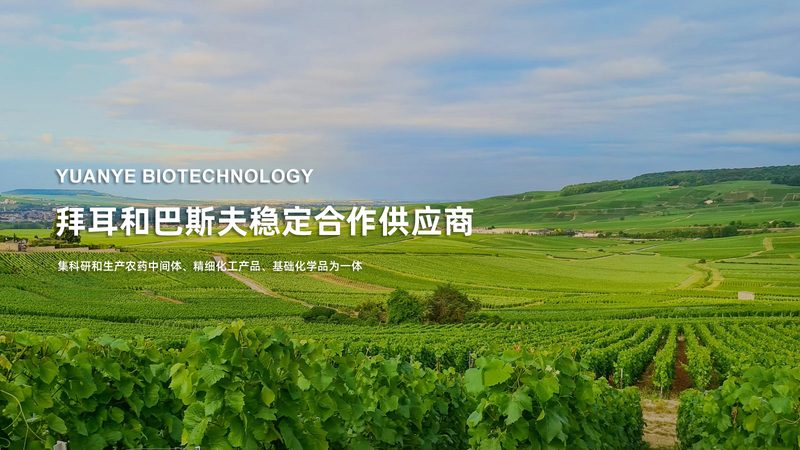 成都离心管批发市场：揭秘实验室必备耗材的采购之道