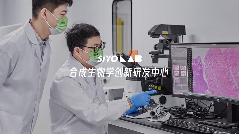 定制化农业的未来：生物科技解决方案深度解析**