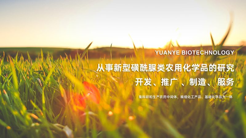 广州生物科技技术服务外包：揭秘行业秘密与选择要点**