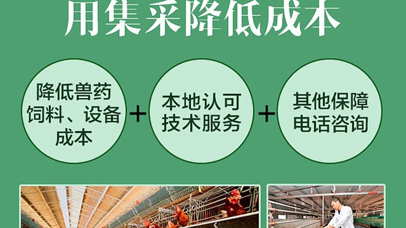 塑料离心管：价格之外，你还需要了解这些**