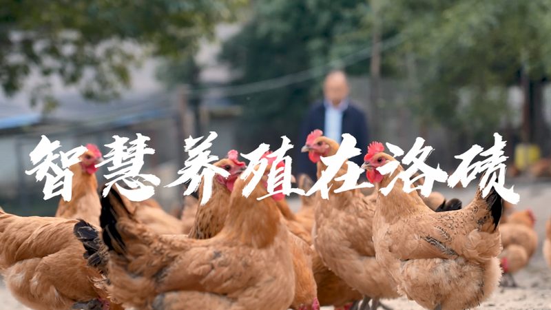 农业新篇章：生物科技在农业应用场景中的创新案例**
