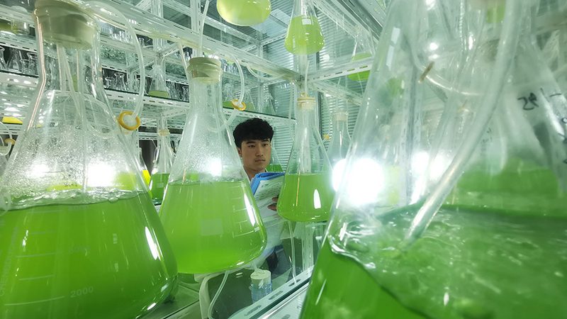 北京细胞工厂：揭秘生物制药领域的“幕后英雄”**